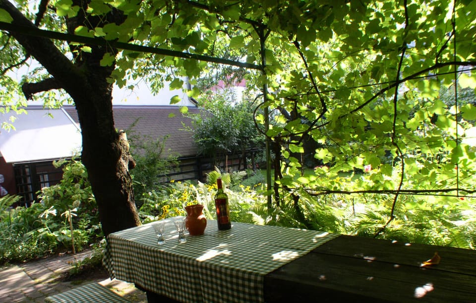 Private garden 