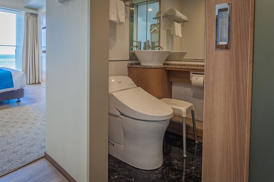 Shower, free toiletries, hair dryer, electronic bidet