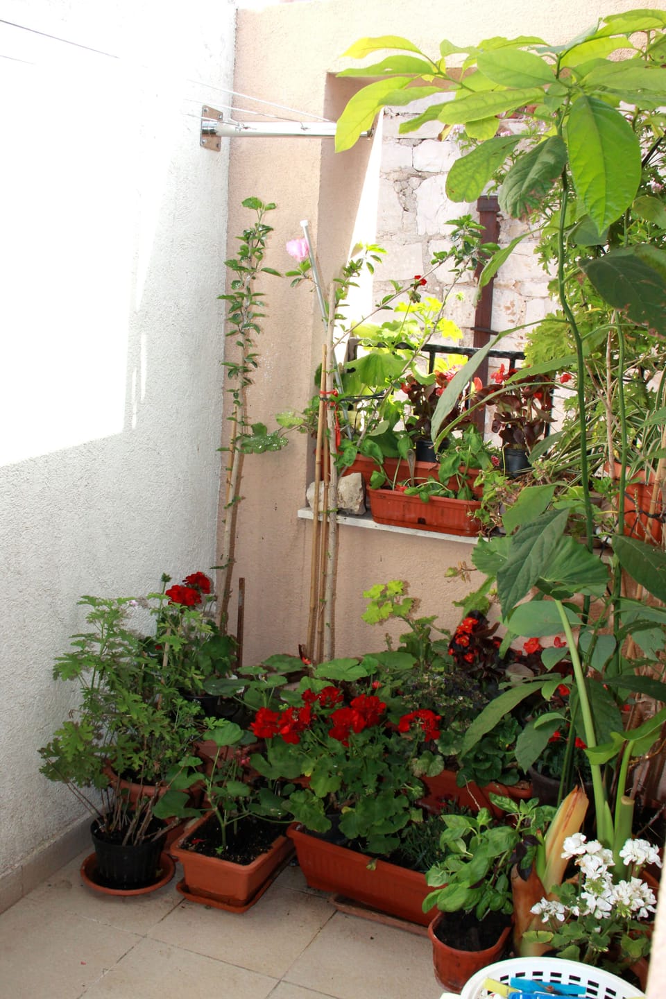 City Apartment | Balcony