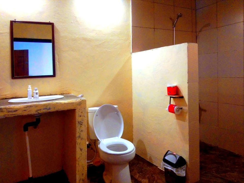 Shower, toilet paper