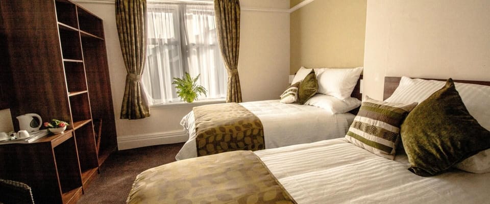 Deluxe Double or Twin Room | Iron/ironing board, free WiFi, bed sheets