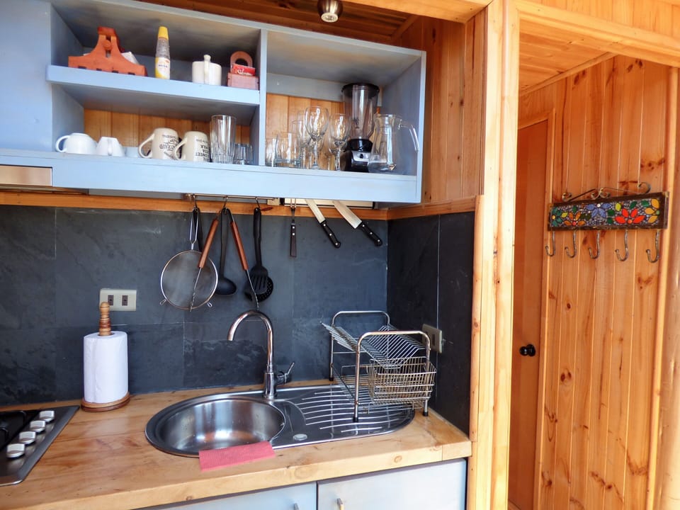 Deluxe Cabin (Domo 3) | Private kitchen | Fridge, microwave, toaster, rice cooker
