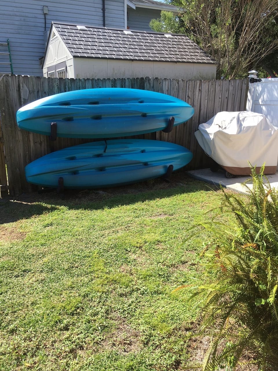some of the kayaks