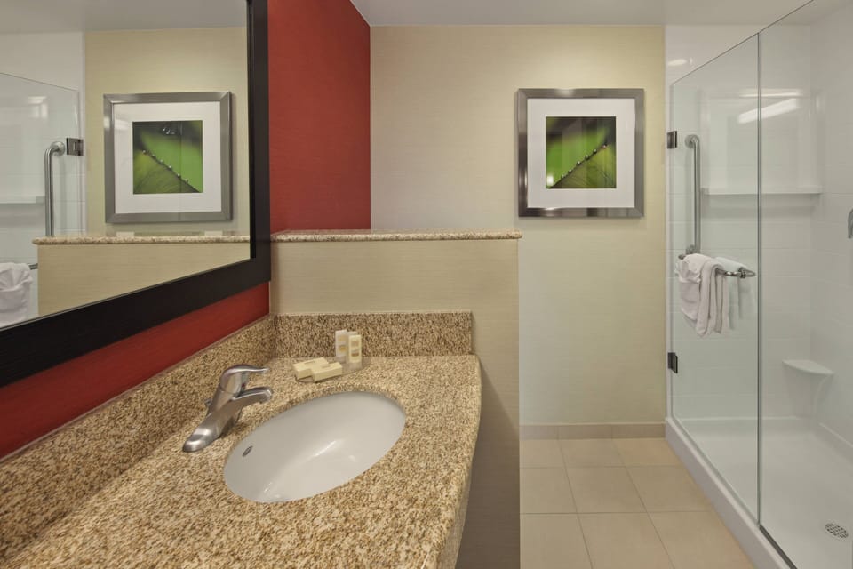 Hair dryer, towels, soap, shampoo