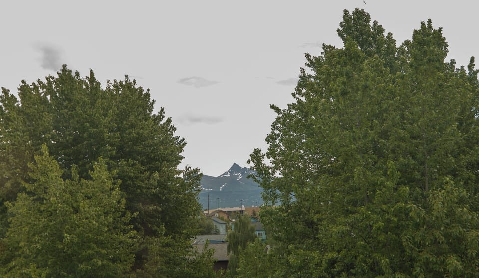 Mountain View’s 