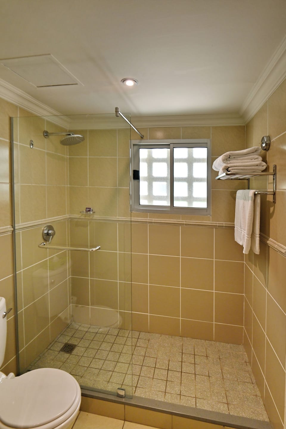 Combined shower/tub, deep soaking tub, hydromassage showerhead