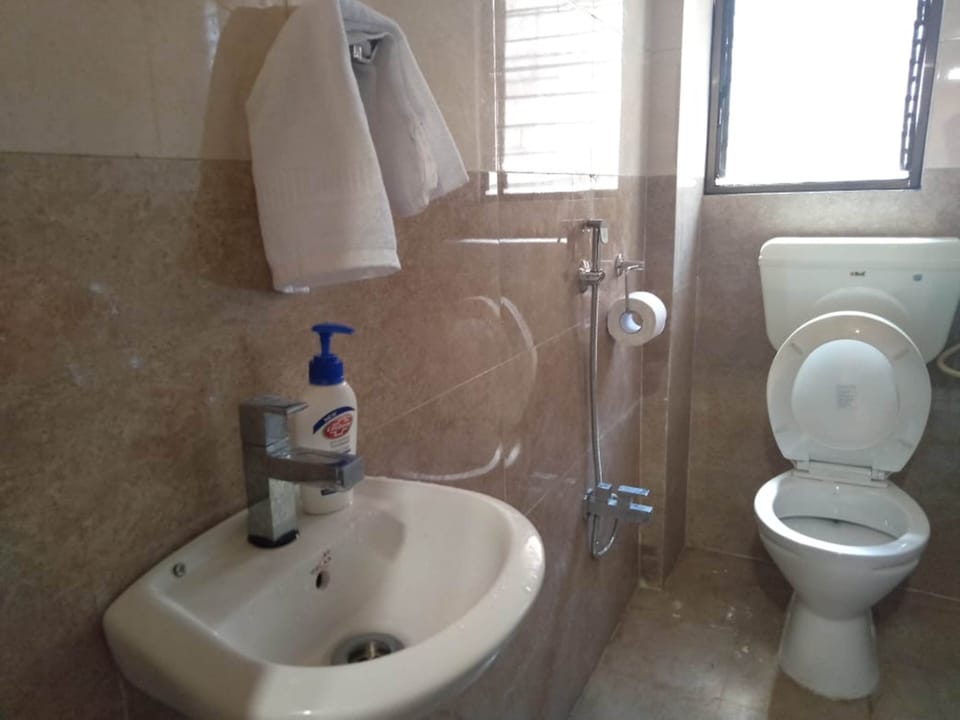 Deluxe Room | Bathroom | Shower, free toiletries, towels