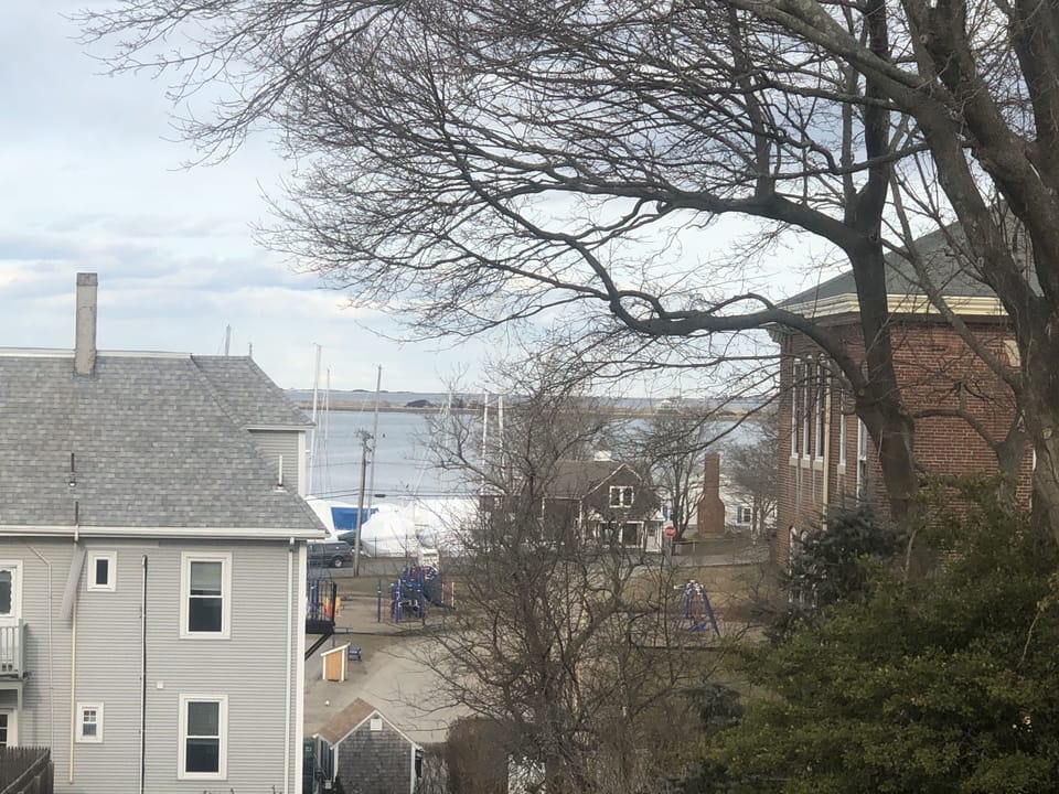 The view from the living room window.
