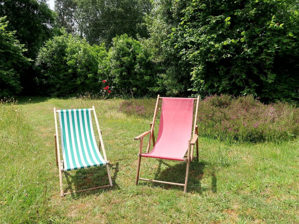 Plant, Furniture, Natural Landscape, Grass, Tree, Outdoor Furniture, Leisure, Wood, Groundcover, Shade