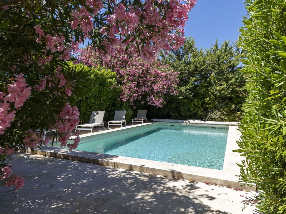 Swimming Pool, Shrub, Garden, Outdoor Furniture, Shade, Backyard, Landscaping, Resort, Yard