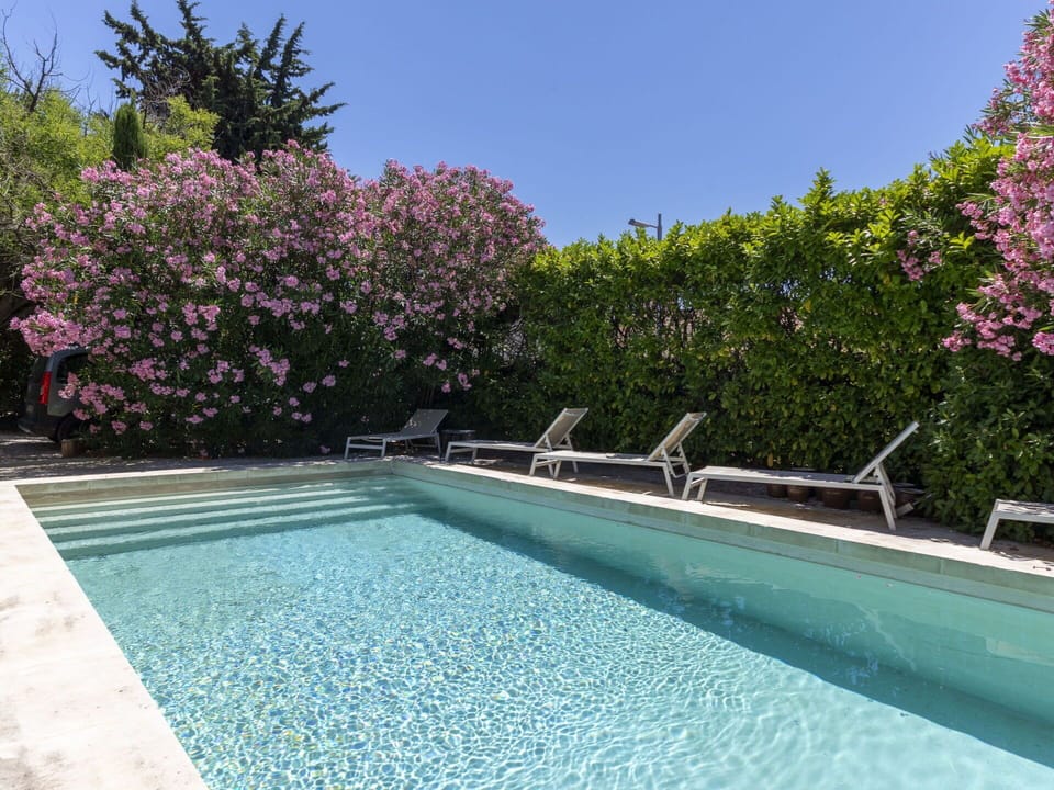 Swimming Pool, Garden, Outdoor Furniture, Resort, Landscaping, Shade, Backyard, Yard, Eco Hotel, Water Feature