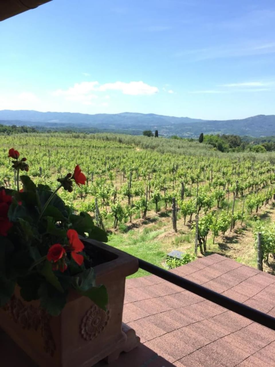 View from property