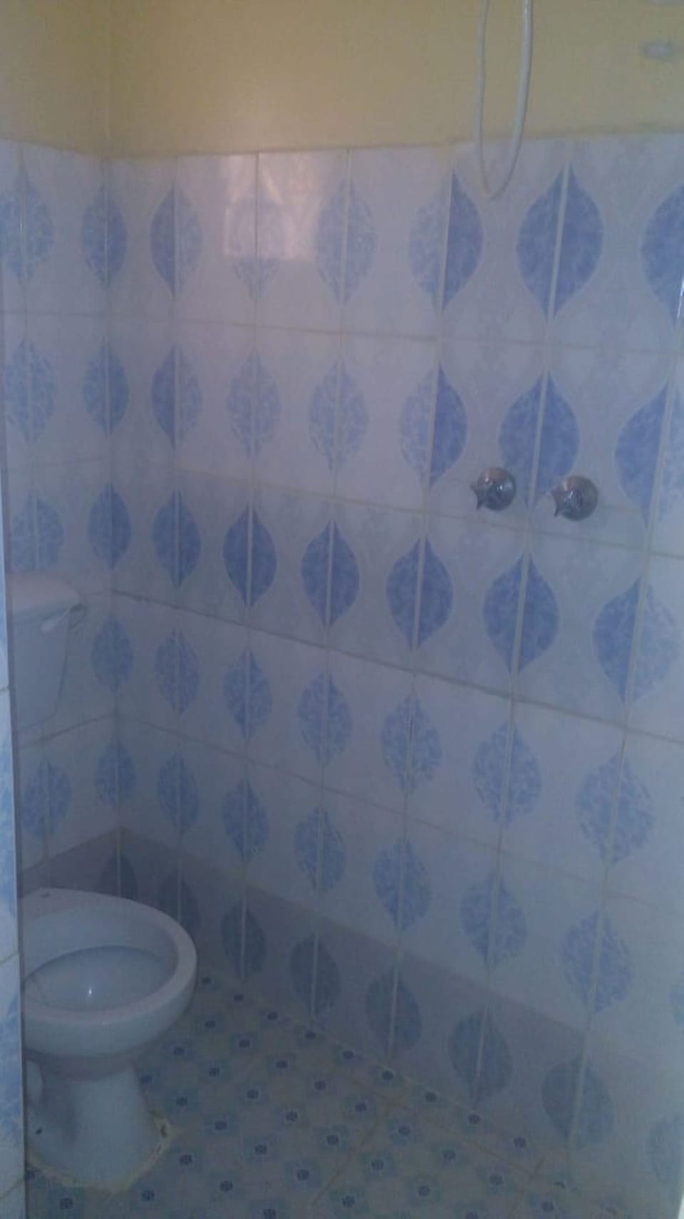 Double Room | Bathroom | Shower, towels, soap, toilet paper