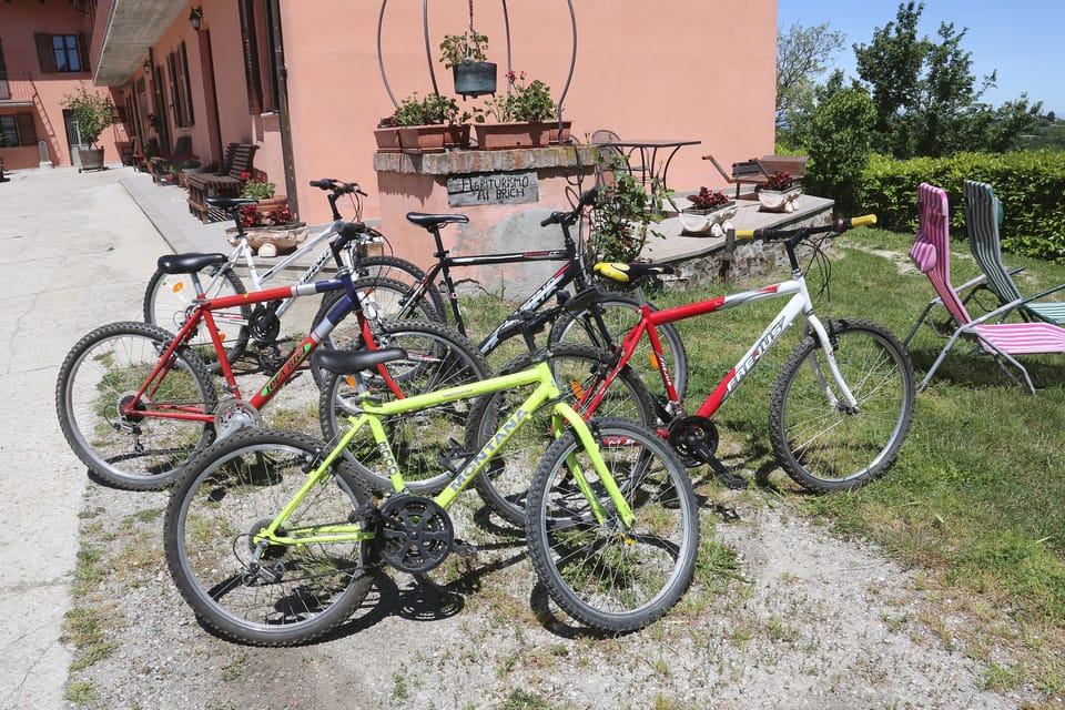 Apartment, 1 Bedroom, Smoking, Terrace | Bicycling