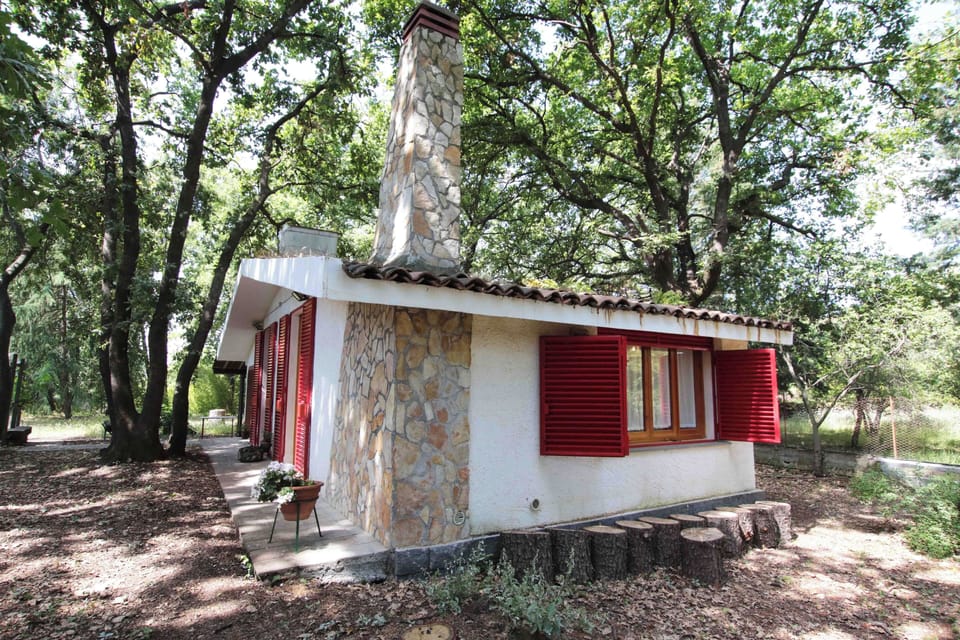 Studio, Accessible, Smoking | View from property