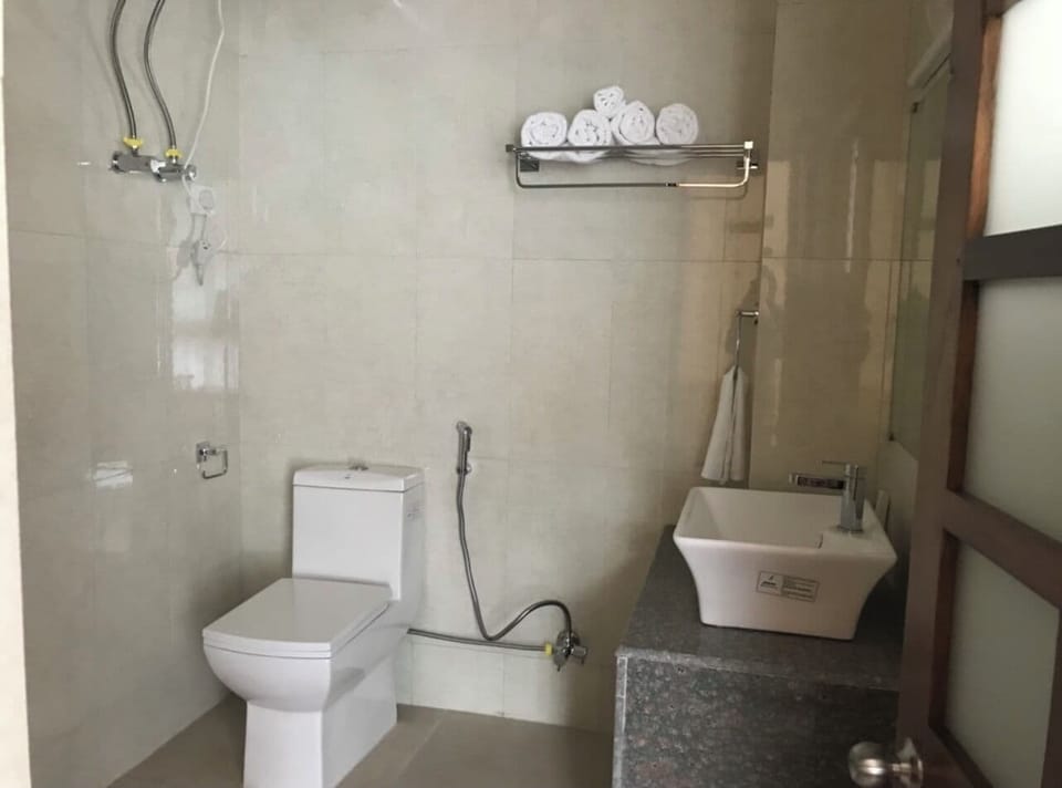 Deluxe Room | Bathroom | Shower, free toiletries, towels