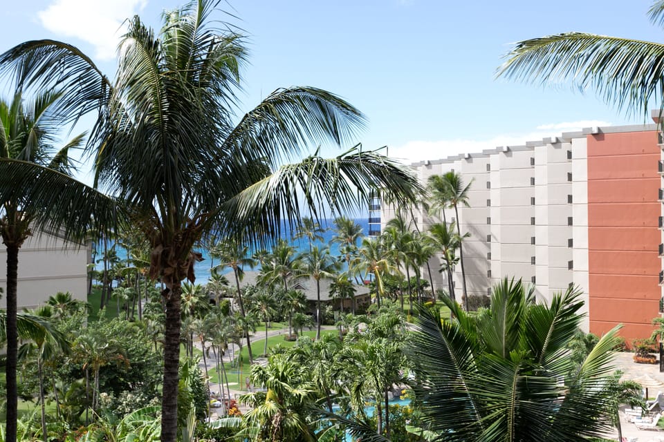Tropical resort property with lush palm gardens, multi-story buildings, and sparkling blue ocean views visible beyond the landscaped grounds under clear skies.