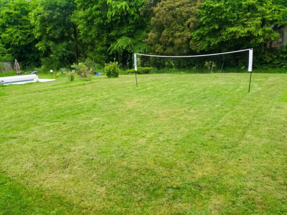 Field (volley/tennis)
