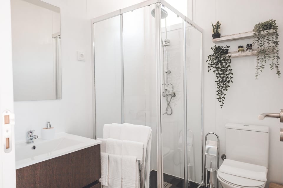 Suite, Mountain View | Bathroom | Shower, hair dryer, towels, soap