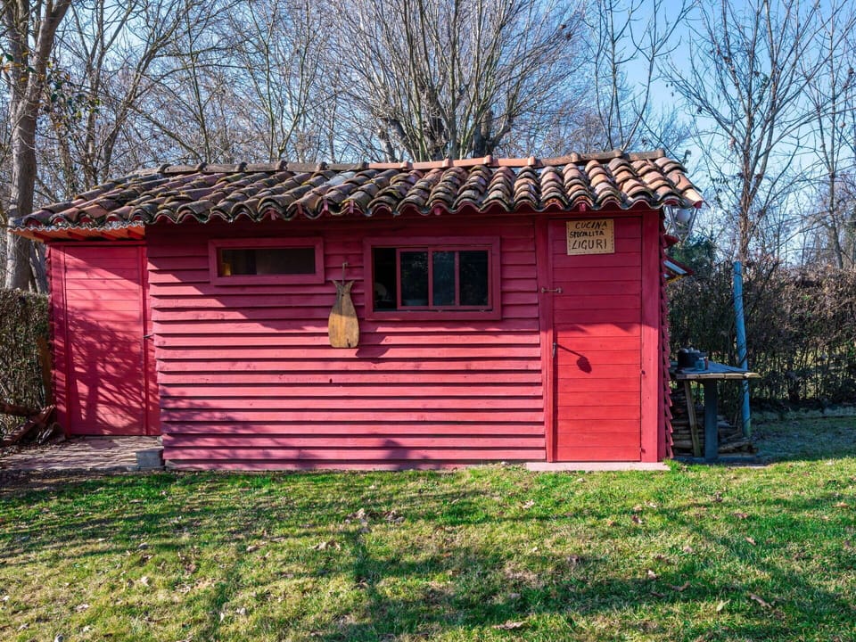 Sky, Plant, Tree, Window, Wood, Natural Landscape, Grass, Cottage, Rural Area, Real Estate
