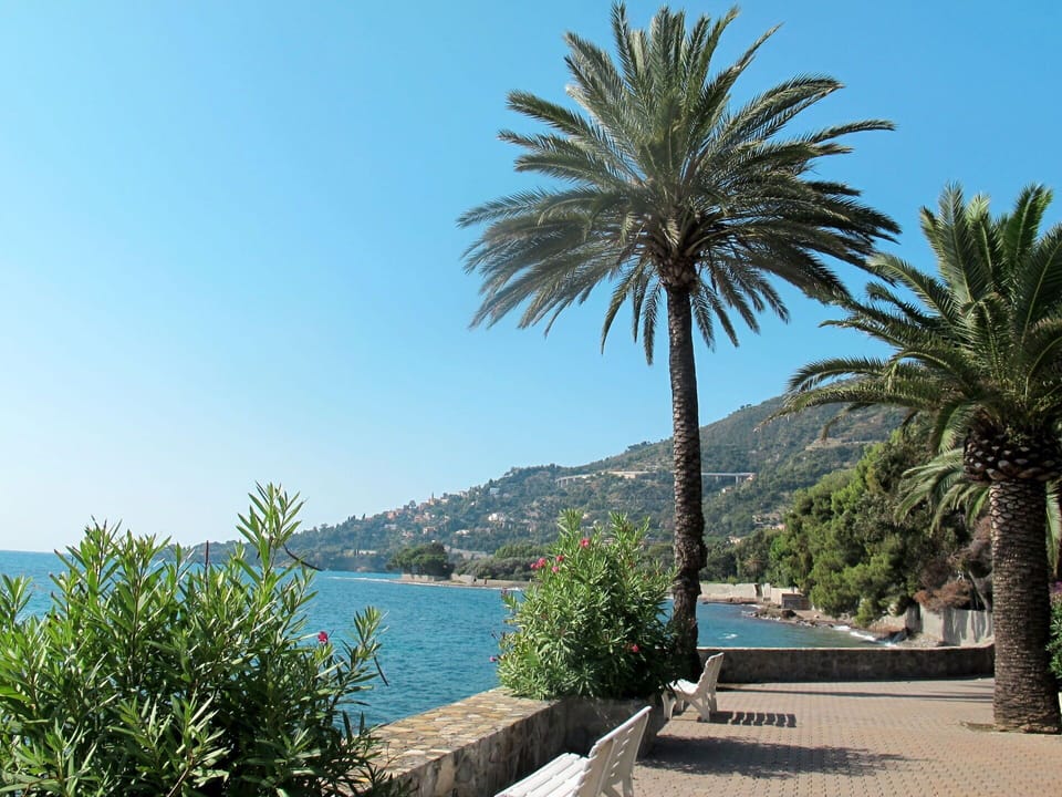 Sky, Water, Plant, Tree, Azure, Botany, Vegetation, Arecales, Coastal And Oceanic Landforms, Terrestrial Plant