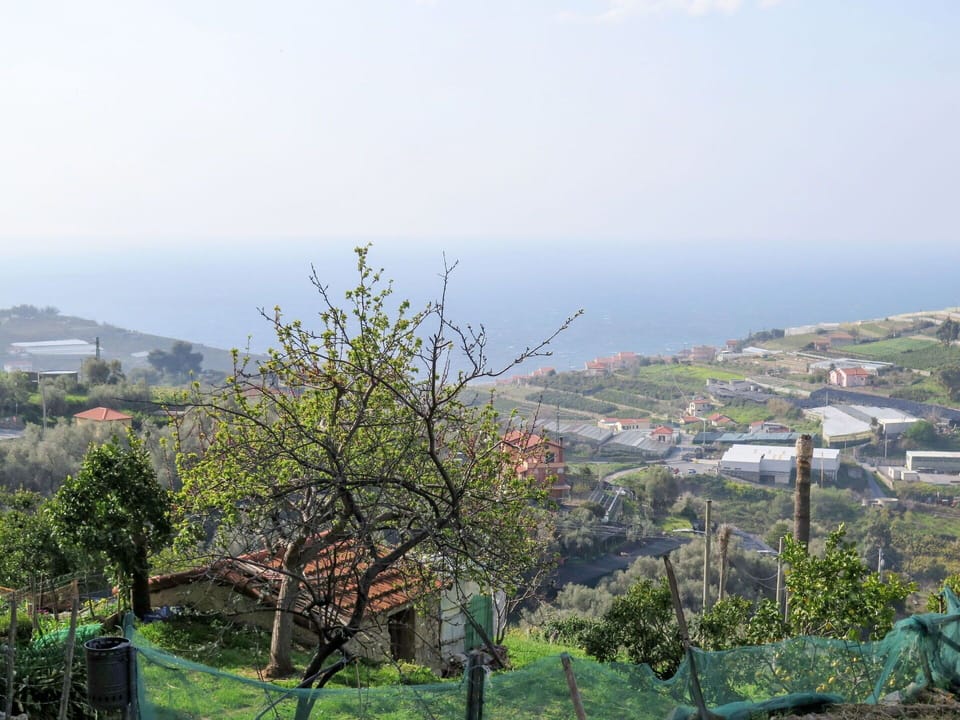 Water, Sky, Cloud, Water Resources, Azure, Tree, Natural Landscape, Beach, Coastal And Oceanic Landforms, Plant