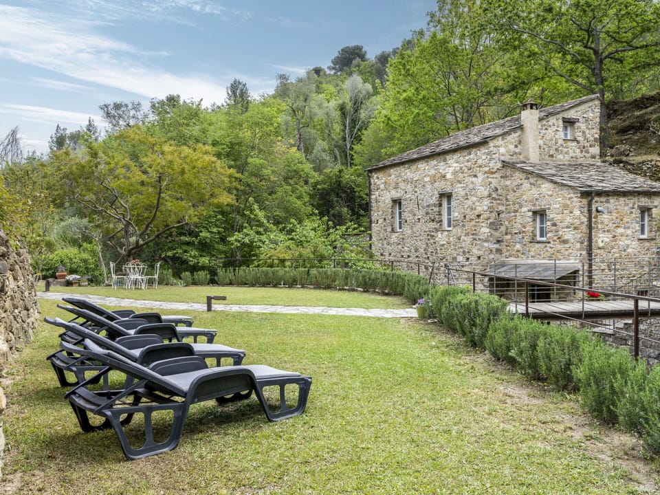 Plant, Cloud, Outdoor Bench, Sky, Window, Natural Landscape, Outdoor Furniture, Land Lot, Vegetation, Tree