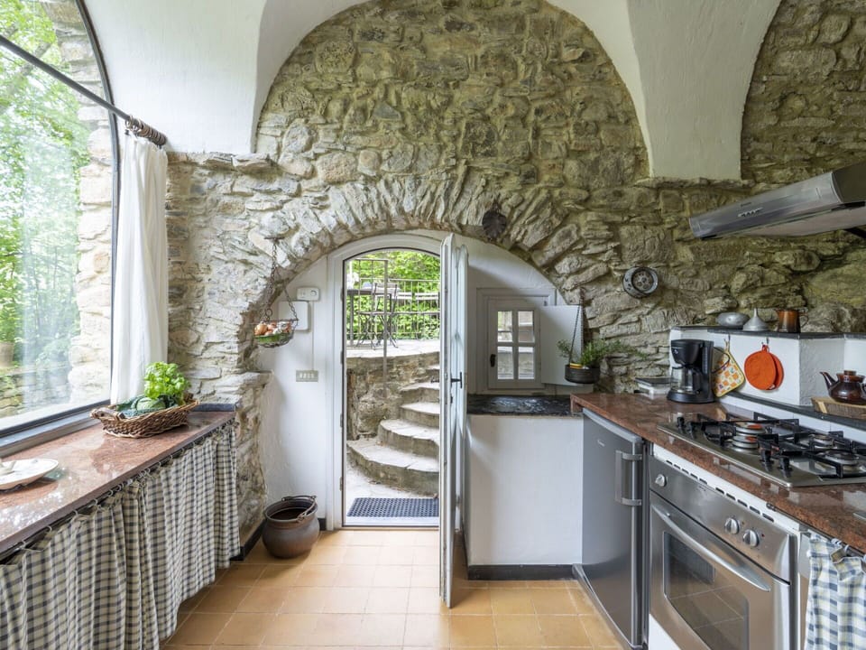 Countertop, Property, Cabinetry, Furniture, Plant, Window, Kitchen Appliance, Gas Stove, Kitchen, Flowerpot
