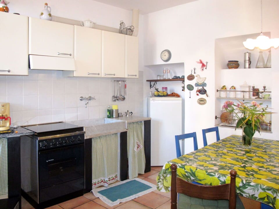 Cabinetry, Property, Table, Countertop, Interior Design, Kitchen Appliance, Houseplant, Flooring, Floor, Kitchen Stove