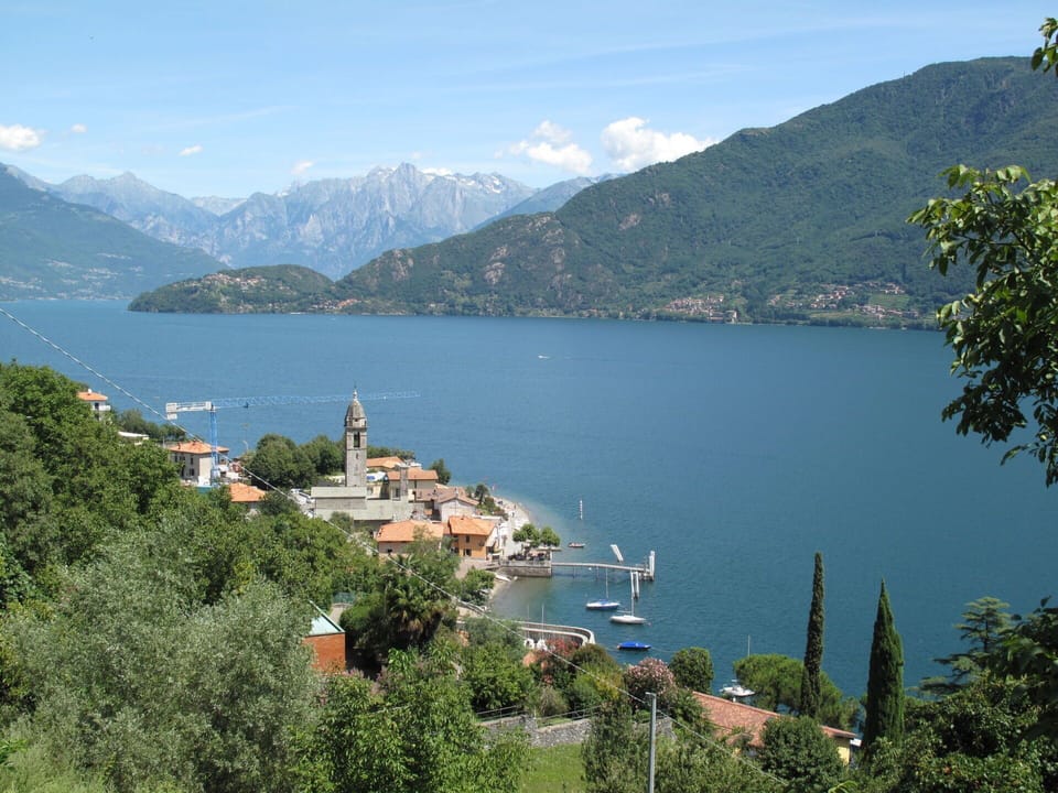 Plant, Sky, Plant Community, Natural Landscape, Branch, Tree, Grass, Shrub, Deciduous, Landscape