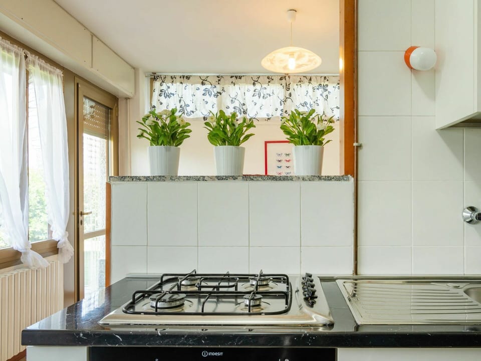 Plant, Property, Window, Gas Stove, Houseplant, Cooktop, Flowerpot, Building, Kitchen Stove, Kitchen Appliance