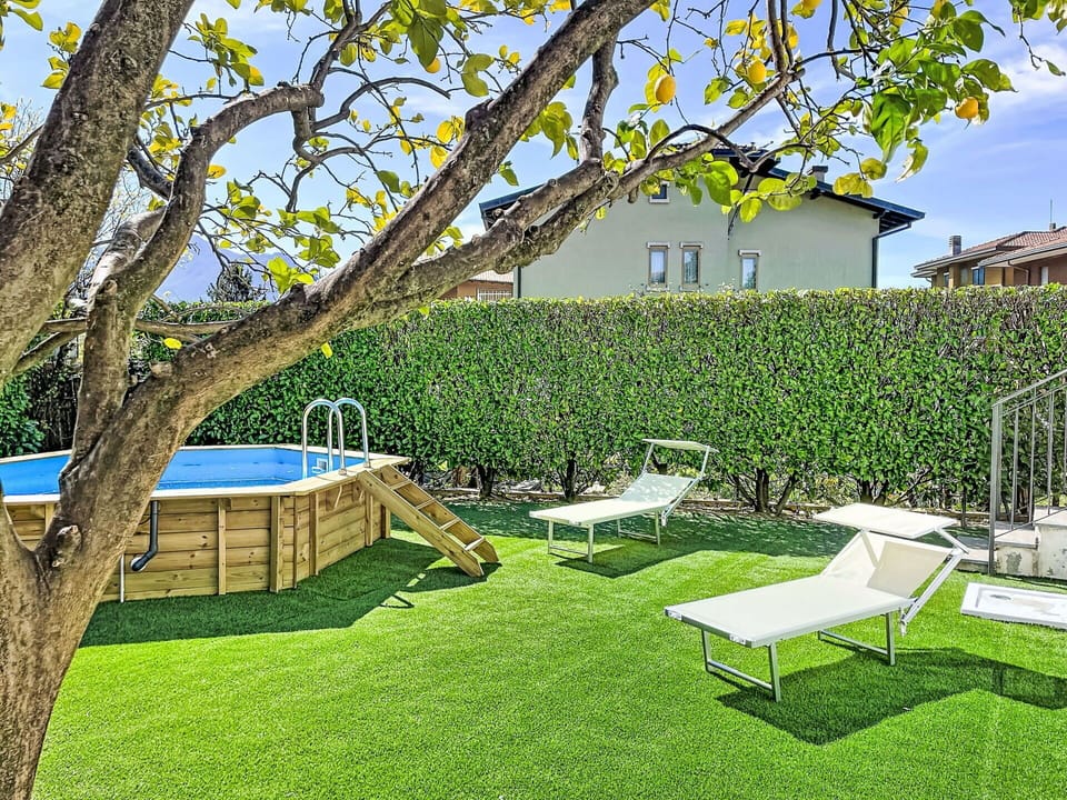 Grass, Garden, Lawn, Shade, Leisure, Landscaping, Artificial Turf, Backyard, Yard, Swimming Pool