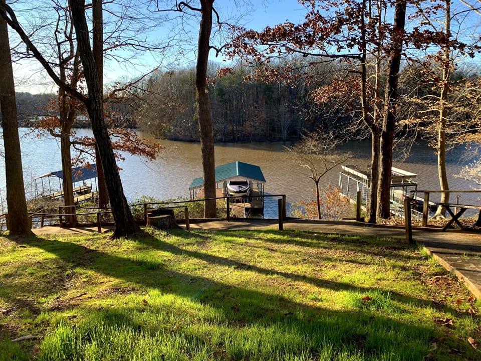 View from back yard.