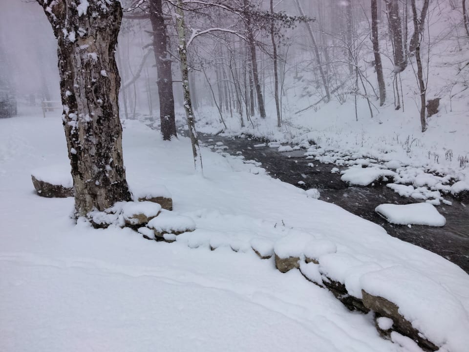 Snow and ski sports