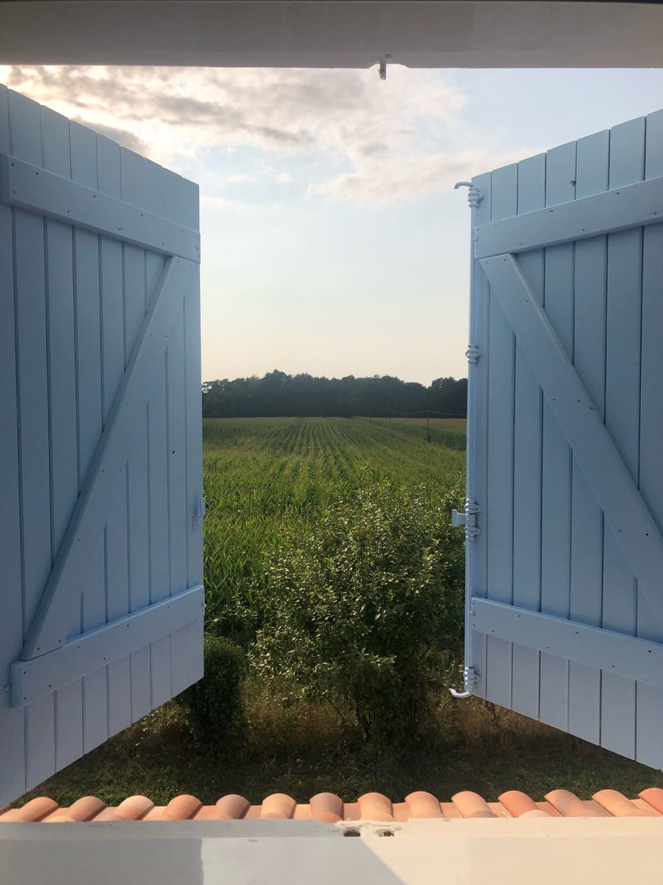 View from property