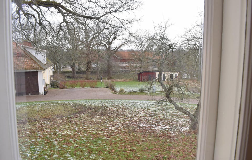 view-from-room