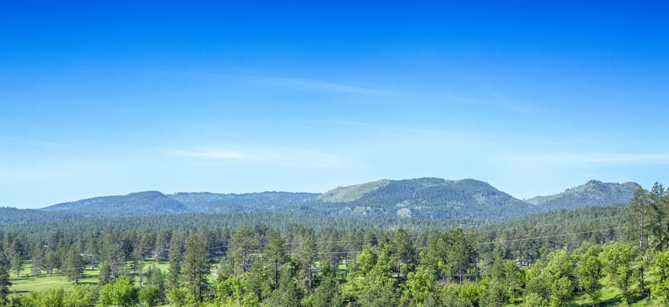 view from porch