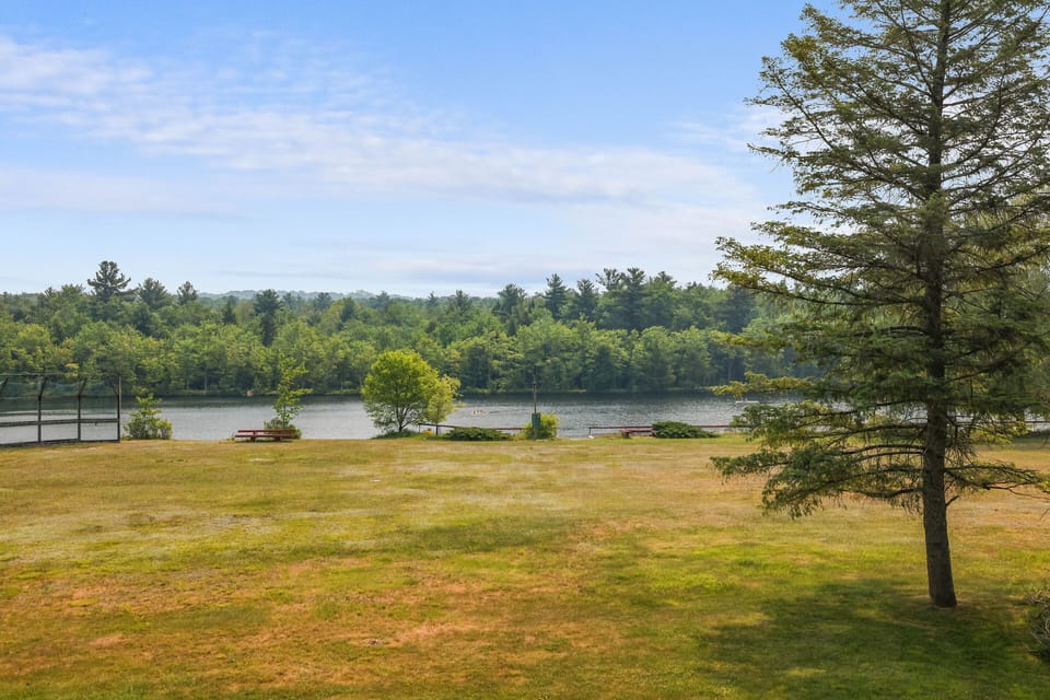 Discover the tranquil beauty of untouched wilderness in this scenic paradise