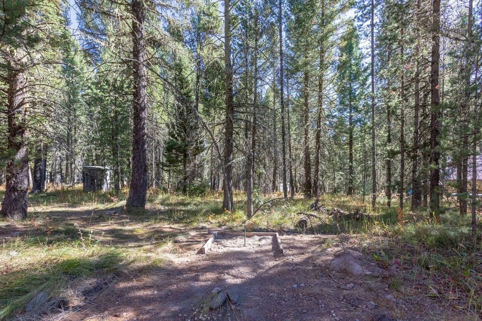 Play a friendly game of horseshoes in the woods!