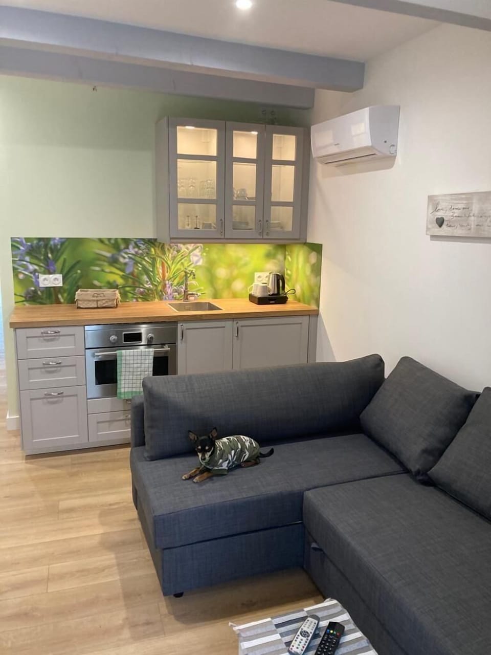 Comfort Apartment, 1 Queen Bed with Sofa bed | Living area | 36-cm flat-screen TV with satellite channels, TV