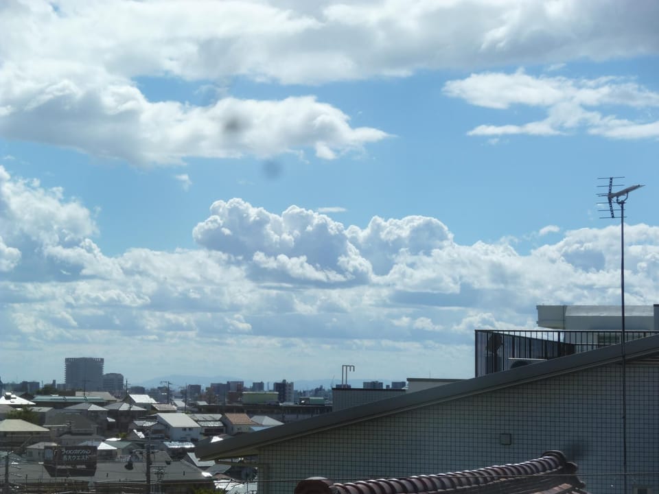 Apartment (A) | City view