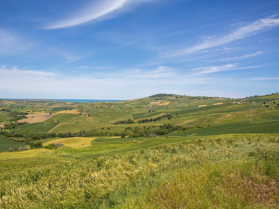 Cloud, Sky, Plant, Natural Landscape, Tree, Land Lot, Terrain, Agriculture, Grass, Cumulus
