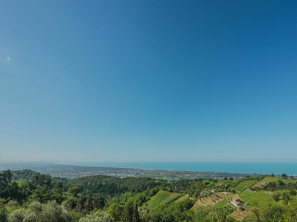Sky, Ecoregion, Azure, Natural Landscape, Plant, Vegetation, Land Lot, Coastal And Oceanic Landforms, Terrain, Tree