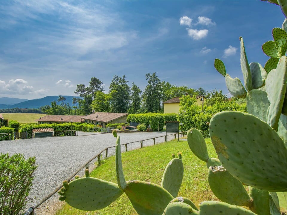 Cloud, Plant, Sky, Plant Community, Natural Landscape, Terrestrial Plant, Vegetation, Groundcover, Landscape, Tree