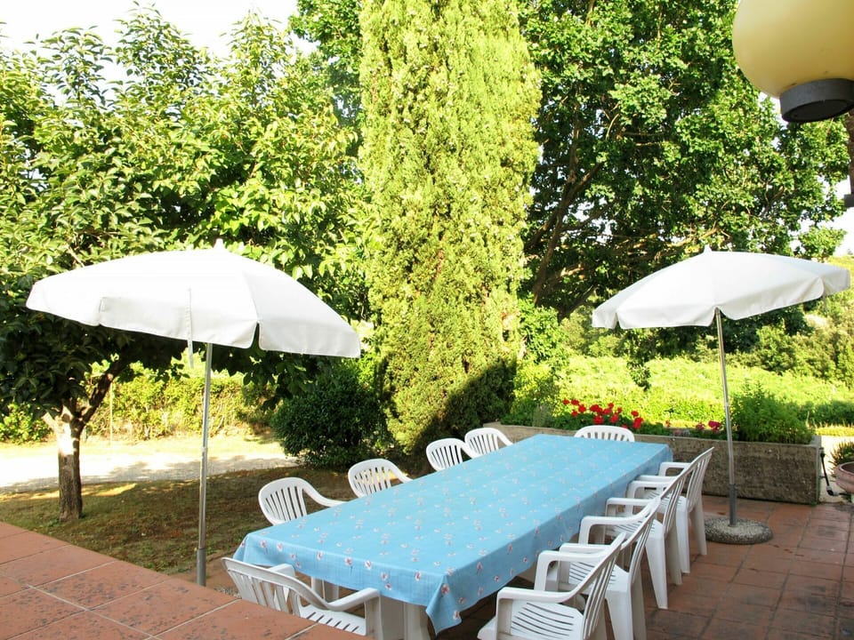 Plant, Table, Furniture, Property, Umbrella, Botany, Leaf, Nature, Green, Shade