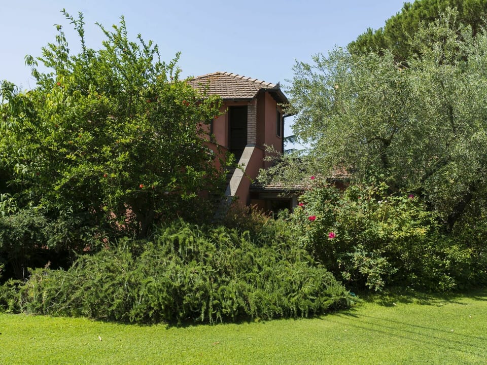 Plant, Sky, Plant Community, Natural Landscape, Land Lot, Vegetation, Grass, Groundcover, Landscape, Tree