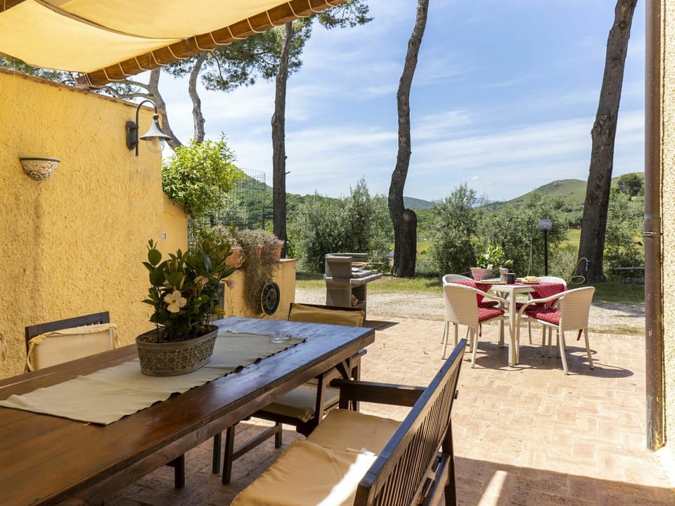 Table, Plant, Furniture, Sky, Property, Building, Azure, Shade, Houseplant, Outdoor Table