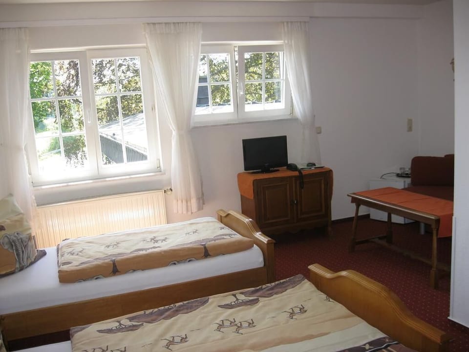 Standard Double or Twin Room, Non Smoking | Hypo-allergenic bedding, minibar, individually furnished, desk