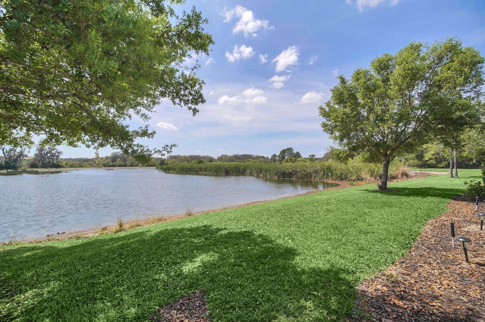Beautiful lake behind our home