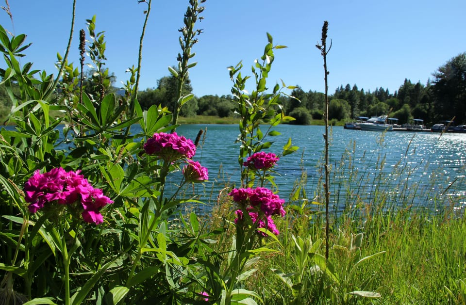 The air is mountain clear and clean as is the water shimmering with sun stars.